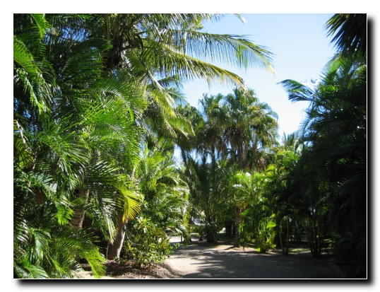 06 Campingplatz Airlie Beach